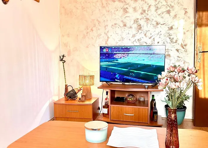 公寓 Aki Vlasotince